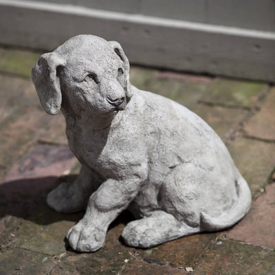 Campania International Lab Pup Garden Statue stained in the Greystone  patina, the ideal color for this garden statue.