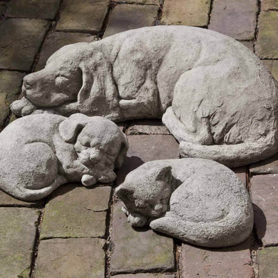 Campania International Curled Dog Statue stained in the Greystone  patina, the ideal color for this garden statue.