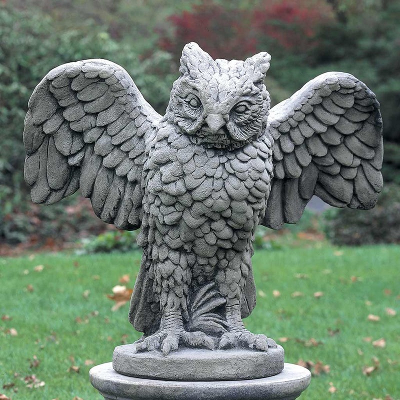 Campania International Soaring Owl Statue , set in the garden to add charm and character. The statue is shown in the Alpine Stone Patina.