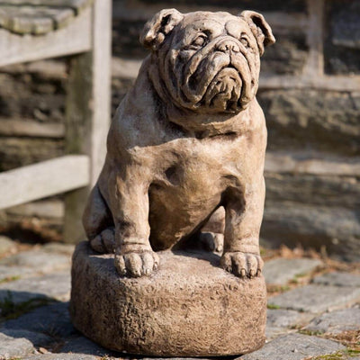 Campania International Petey Dog Statue stained in the Brownstone  patina, the ideal color for this garden statue.
