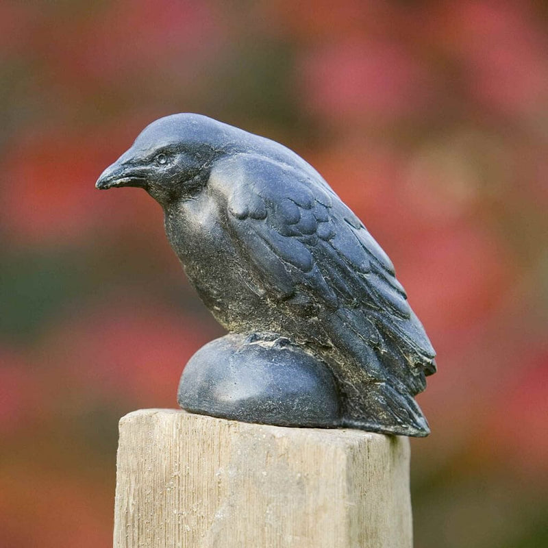 Campania International Small Raven Statue stained in the Nero Nuovo  patina, the ideal color for this garden statue.