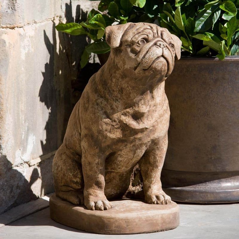 Campania International Mugsy the Dog Statuehas that sweet face with so much charm and perfect to place at an entry, on a porch or patio or in the garden as a focal point. Shown in the Brownstone Patina