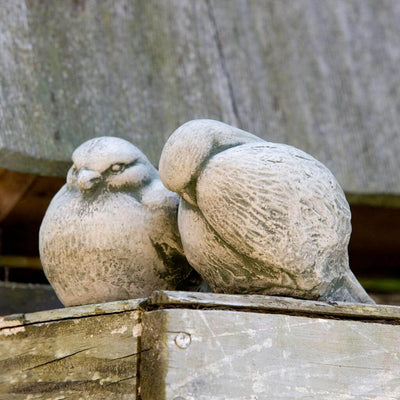 Campania International Duet Birds , set in the garden to add charm and character. The statue is shown in the Alpine Stone Patina.