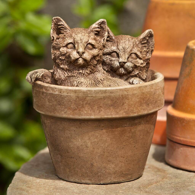 Campania International Sprouts Kitten Garden Statue, set in the garden to add charm and character. The statue is shown in the Brownstone Patina.