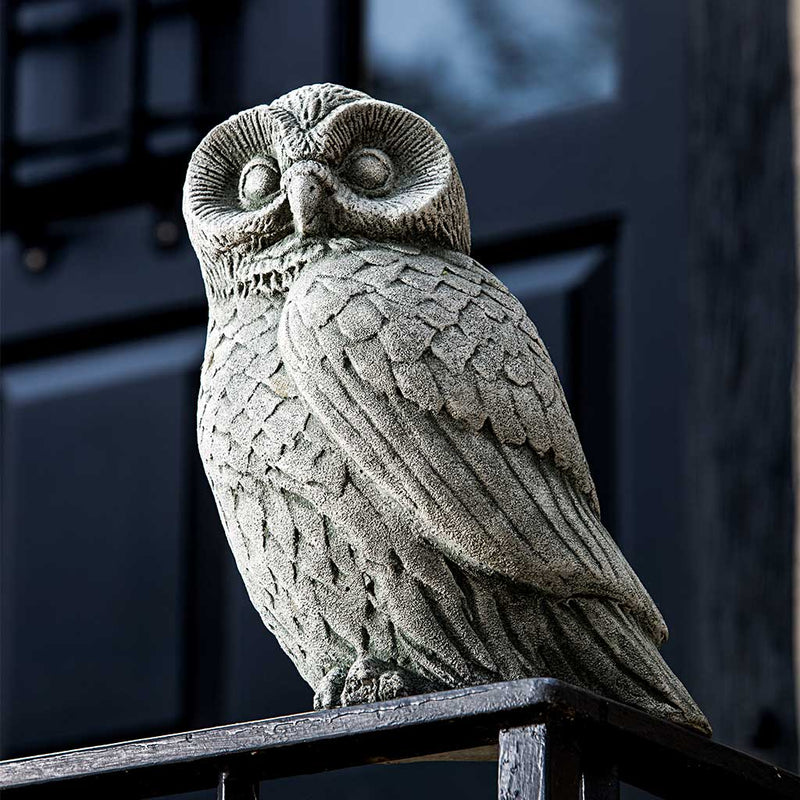 Campania International Night Owl Statue stained in the Alpine Stone  patina, the ideal color for this garden statue.