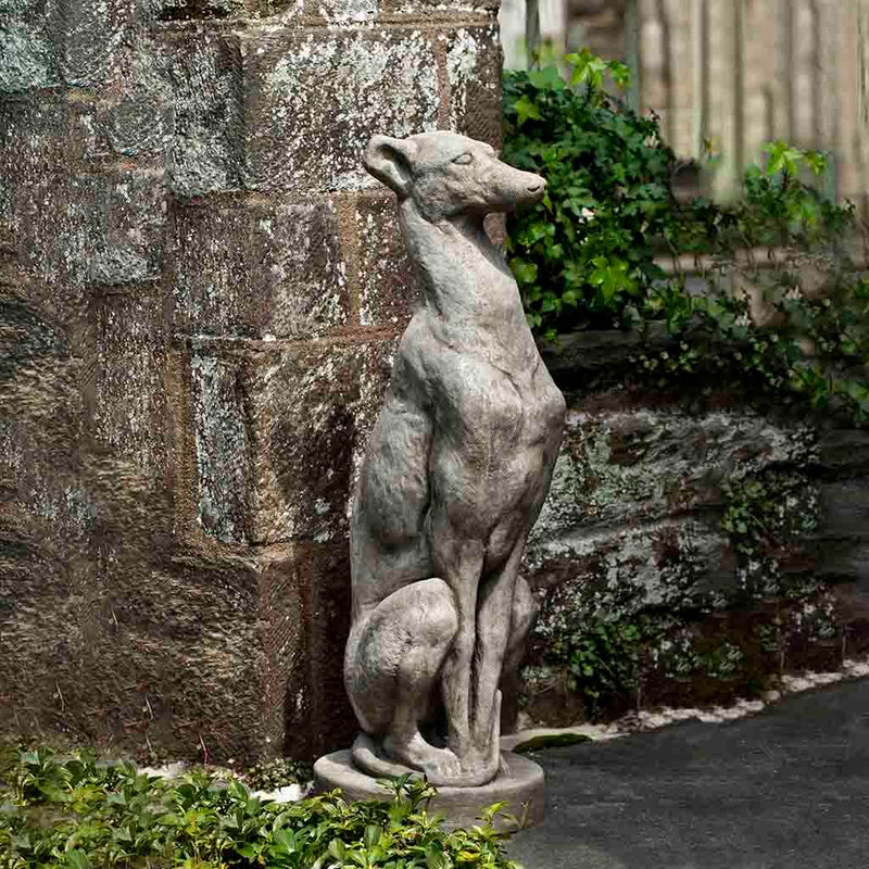 Campania International Antique Greyhound Statue stained in the Greystone  patina, the ideal color for this garden statue.
