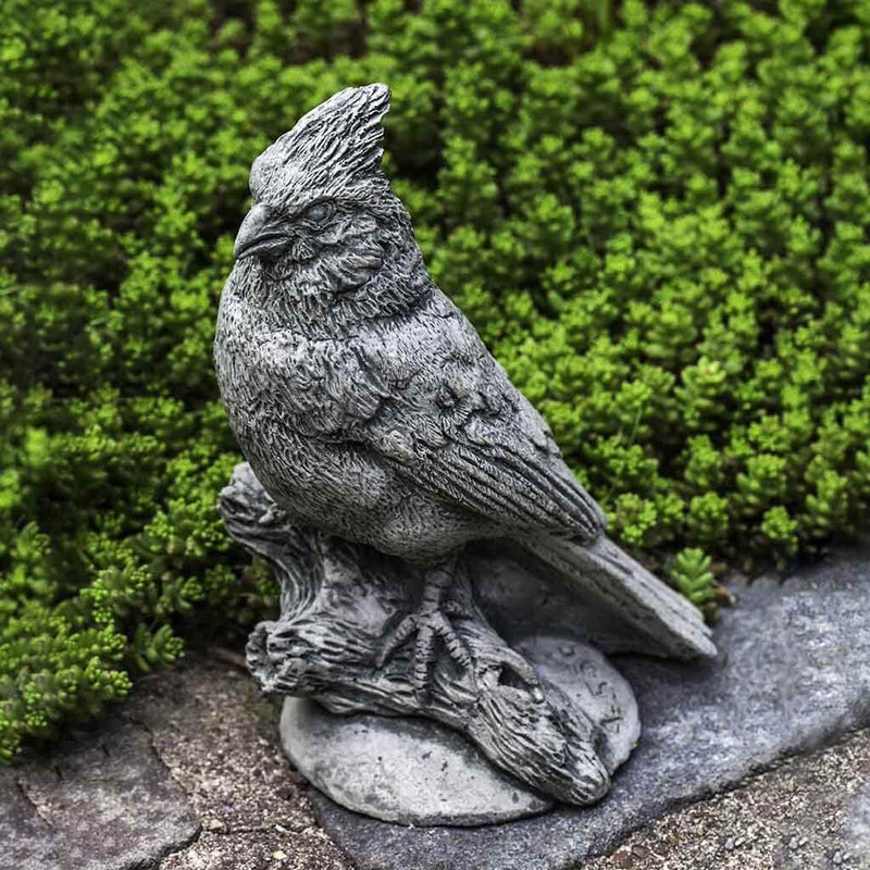 Campania International Northern Cardinal Garden Statue , set in the garden to add charm and character. The statue is shown in the Alpine Stone Patina.