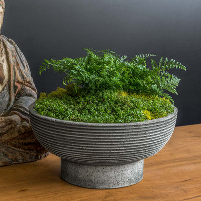 Campania International Calistoga Bowl is tabletop perfection planted with soft foliage and shown in the Alpine Stone Patina. Made from cast stone.
