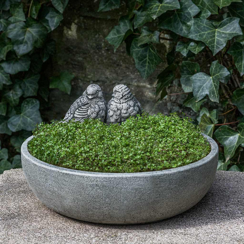 Campania International Lovebird Planter is tabletop perfection planted with soft foliage and shown in the Alpine Stone Patina. Made from cast stone.