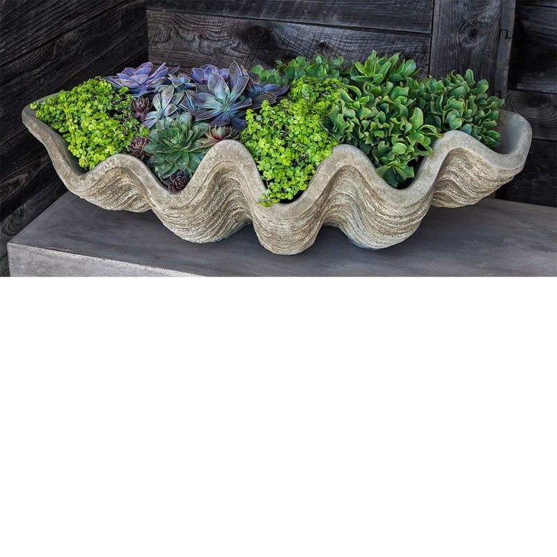Campania International South Seas Shell Large Planter filled with succulents and shown in the Verde Patina. Made from cast stone.